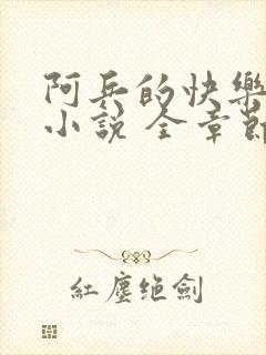 阿兵的快乐生活小说 全章节阅读免费