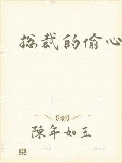 总裁的偷心娇妻