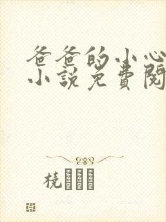 爸爸的小心肝儿小说免费阅读