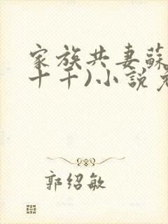 家族共妻苏苏(十千)小说免费