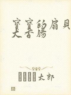 宝宝的扇贝想吃大香肠