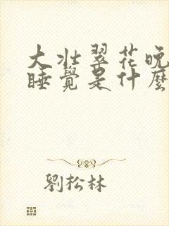 大壮翠花晚上不睡觉是什么电视剧