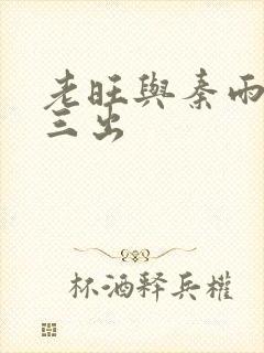 老旺与秦雨三进三出