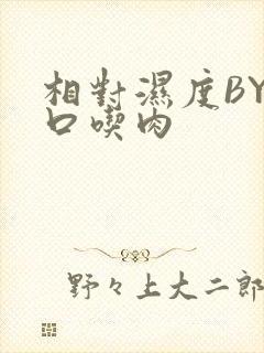 相对湿度BY大口吃肉