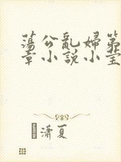 荡公乱妇第51章小说小莹