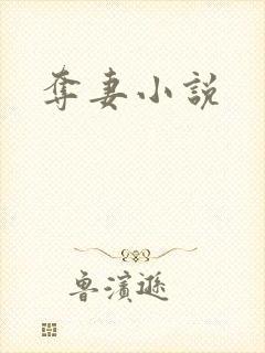 夺妻小说