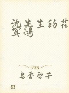 沈先生的花式调冥鸿