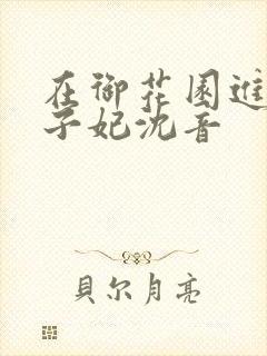 在御花园进入太子妃沈音