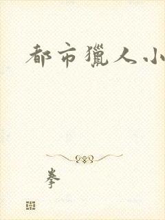 都市猎人小说