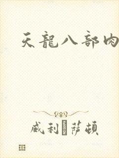 天龙八部肉集