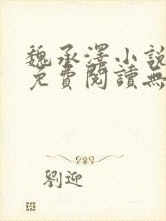 魏承泽小说全文免费阅读无弹窗笔趣