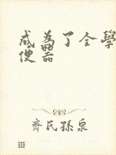 成为了全学校坐便器