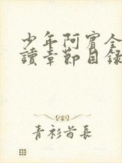 少年阿宾全文阅读章节目录