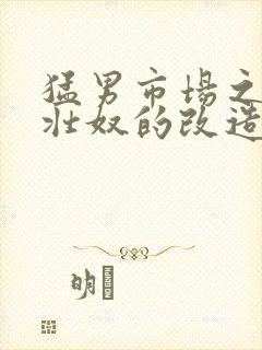 猛男市场之肌肉壮奴的改造