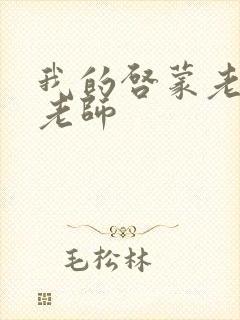 我的启蒙老师袁老师