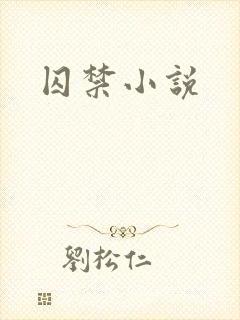 囚禁小说