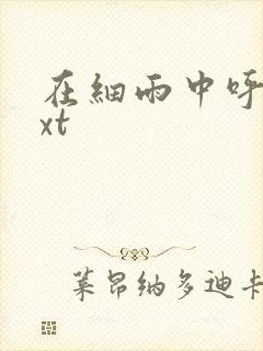 在细雨中呼喊txt