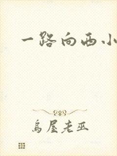 一路向西小说