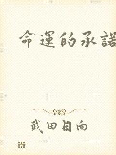 命运的承诺