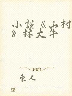 小说《山村情事》林大牛