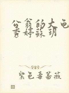 公翁的大龟挺进秀婷苏玥