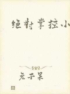 绝对掌控小说