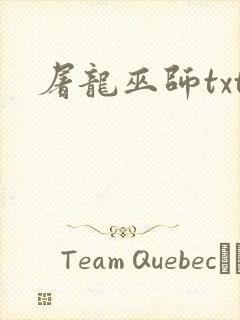 屠龙巫师txt