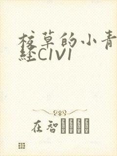 校草的小青梅不经C1V1