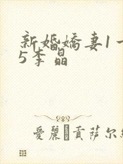 新婚娇妻1一25李晶