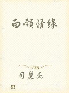 白领情缘