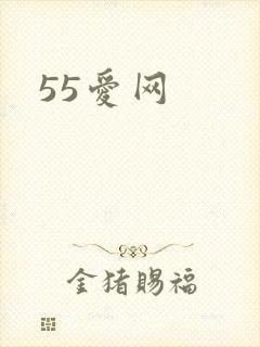 55爱网