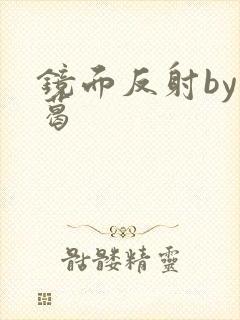 镜面反射by九葛