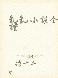 乱乱小说全文阅读