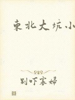 东北大坑小说