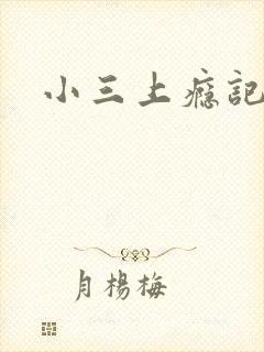小三上瘾记