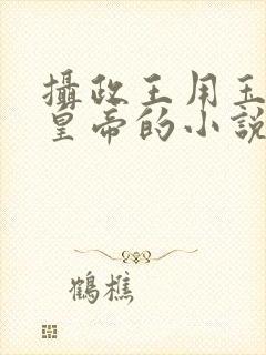 摄政王用玉髓整皇帝的小说