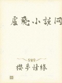 卢飞小说网