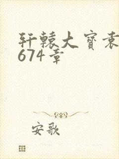 轩辕大宝袁雪妃674章