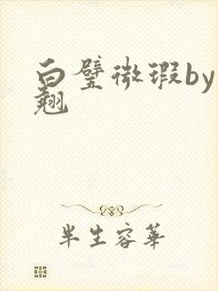 白璧微瑕by连翘