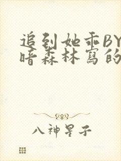 追到她乖BY黑暗森林写的小说