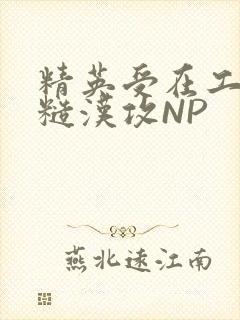 精英受在工地被糙汉攻NP