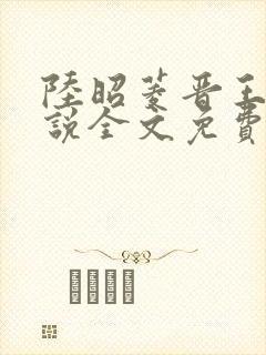 陆昭菱晋王的小说全文免费阅读