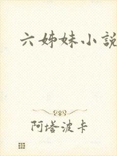 六姊妹小说