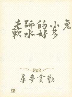 老师的小兔子好软水好多