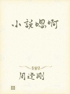 小说嗯啊