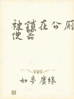 被锁在公厕当坐便器