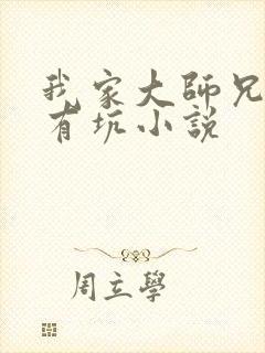 我家大师兄脑子有坑小说