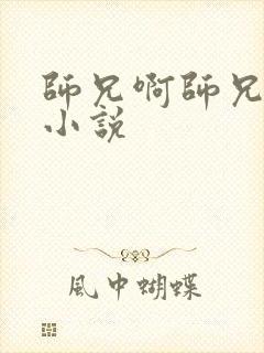 师兄啊师兄原著小说