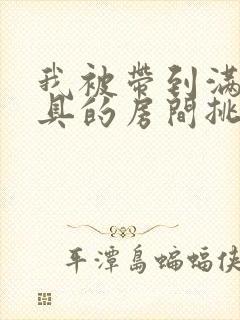 我被带到满是玩具的房间挑调作文