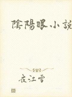 阴阳眼小说